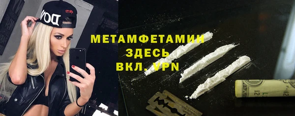 индика Нязепетровск