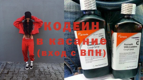 индика Нязепетровск